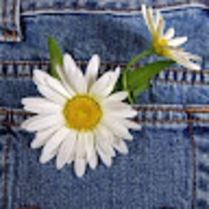 Meet your Posher, Lassomoon